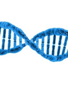 Jak wspomóc organizm w rozbudowie masy mięśniowej?