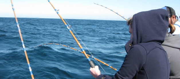 Jakie akcesoria składają się na podstawowe wyposażenie każdego wędkarza?